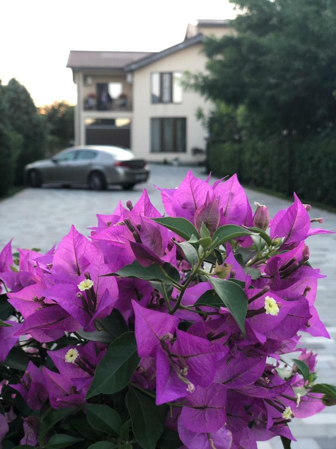 Eden Blue Otel Costinești Dış mekan fotoğraf
