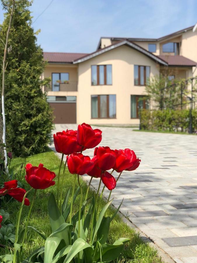 Eden Blue Otel Costinești Dış mekan fotoğraf